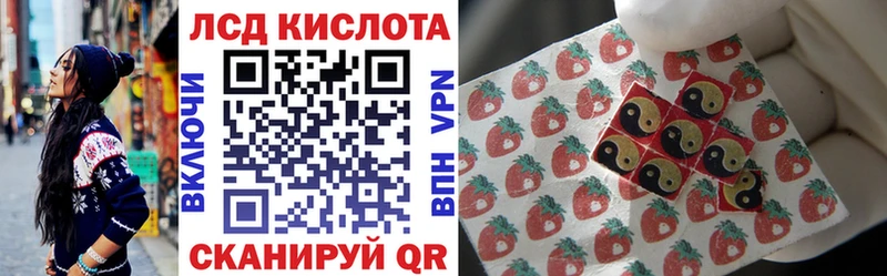 закладки  Выборг  Марки 25I-NBOMe 1500мкг 